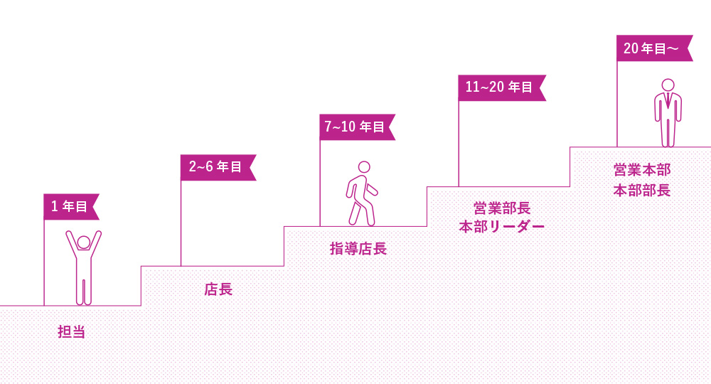 明快なキャリアステップと透明な評価制度