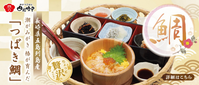 贅沢★真鯛おひつごはん