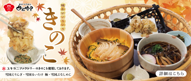 味わいいろいろ、きのこおひつ