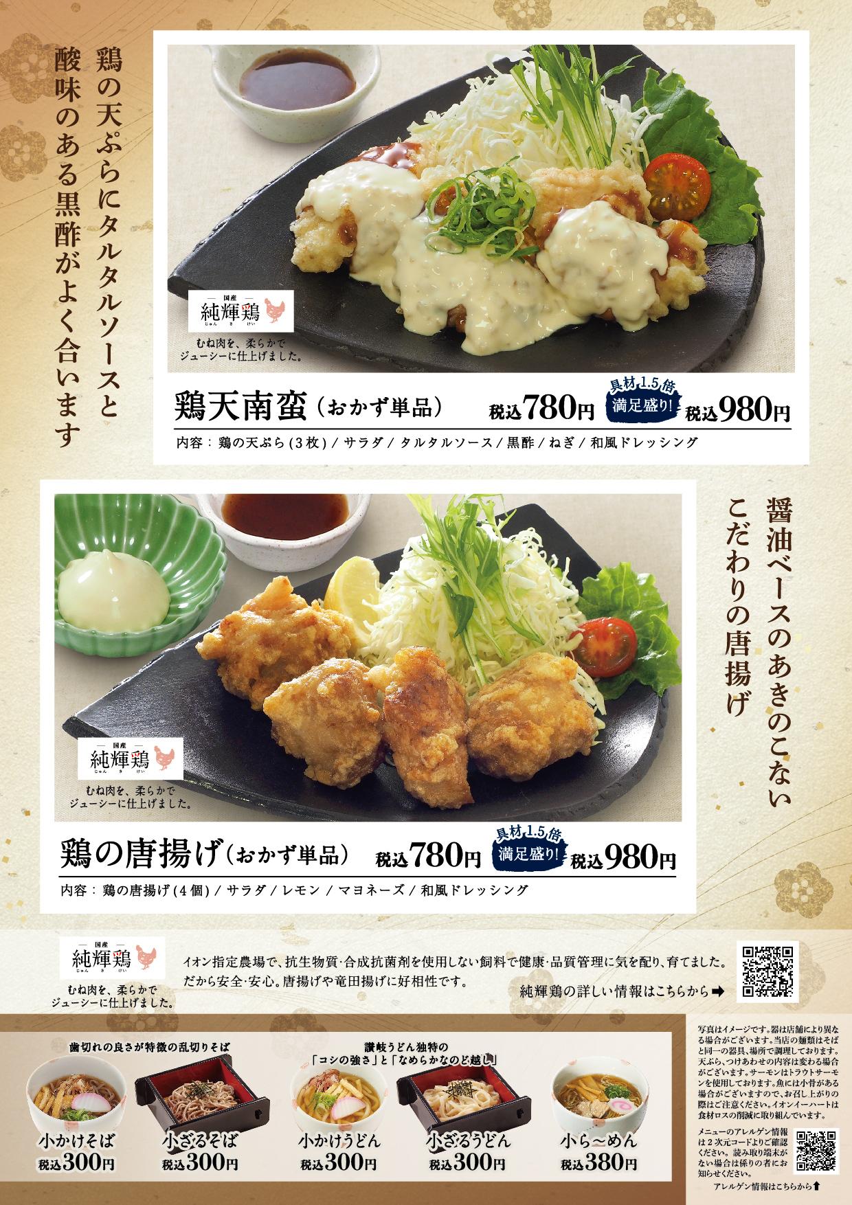 イオン新Bグランドメニュー「こだわりの和食を楽しめる」タイプ メニュー