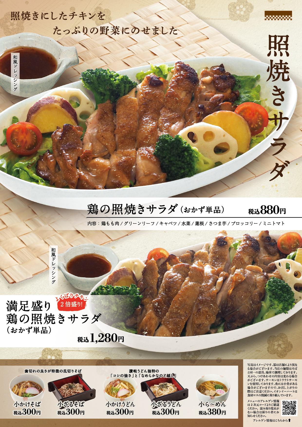 イオン新Bグランドメニュー「こだわりの和食を楽しめる」タイプ メニュー