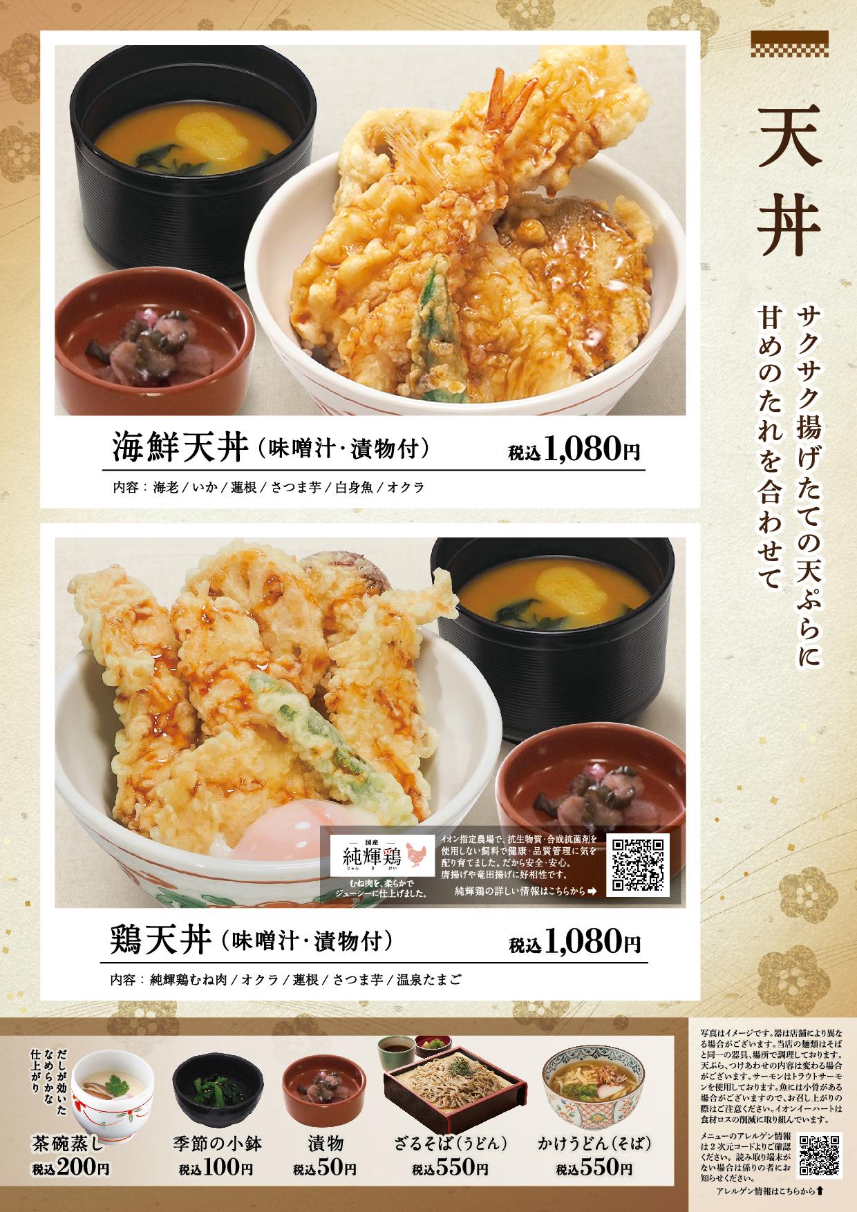 イオン新Bグランドメニュー「こだわりの和食を楽しめる」タイプ メニュー