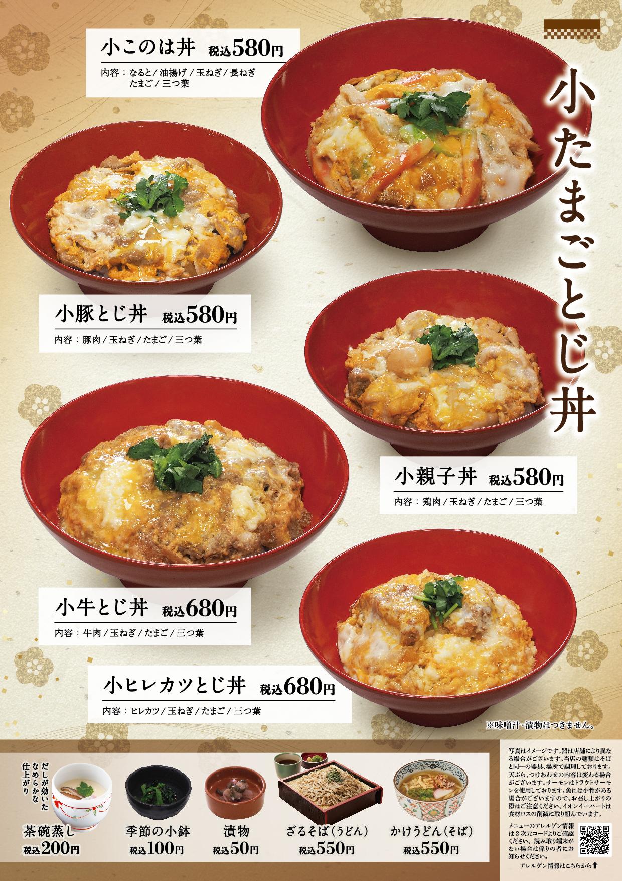 イオン新Bグランドメニュー「こだわりの和食を楽しめる」タイプ メニュー