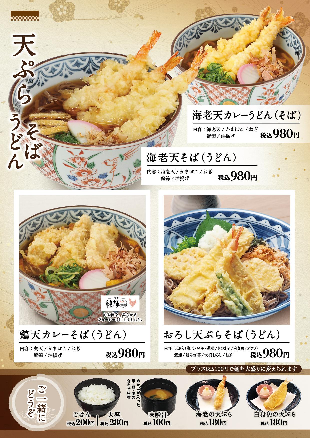イオン新Bグランドメニュー「こだわりの和食を楽しめる」タイプ メニュー