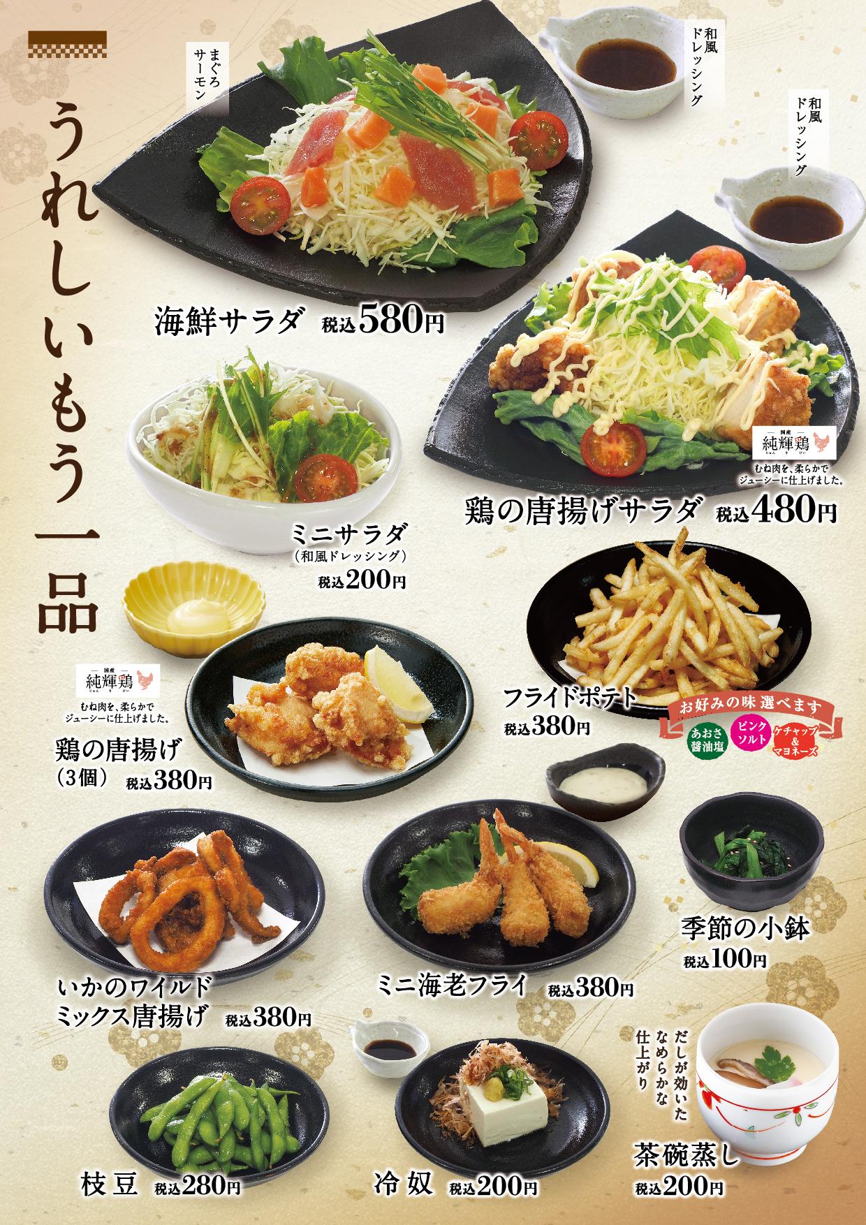イオン新Bグランドメニュー「こだわりの和食を楽しめる」タイプ メニュー