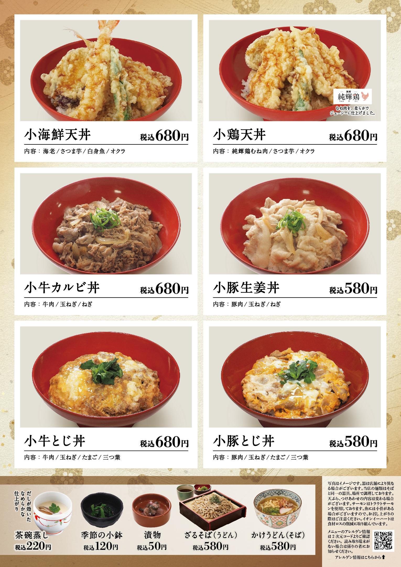 イオン新Bグランドメニュー「こだわりの和食を楽しめる」タイプ メニュー
