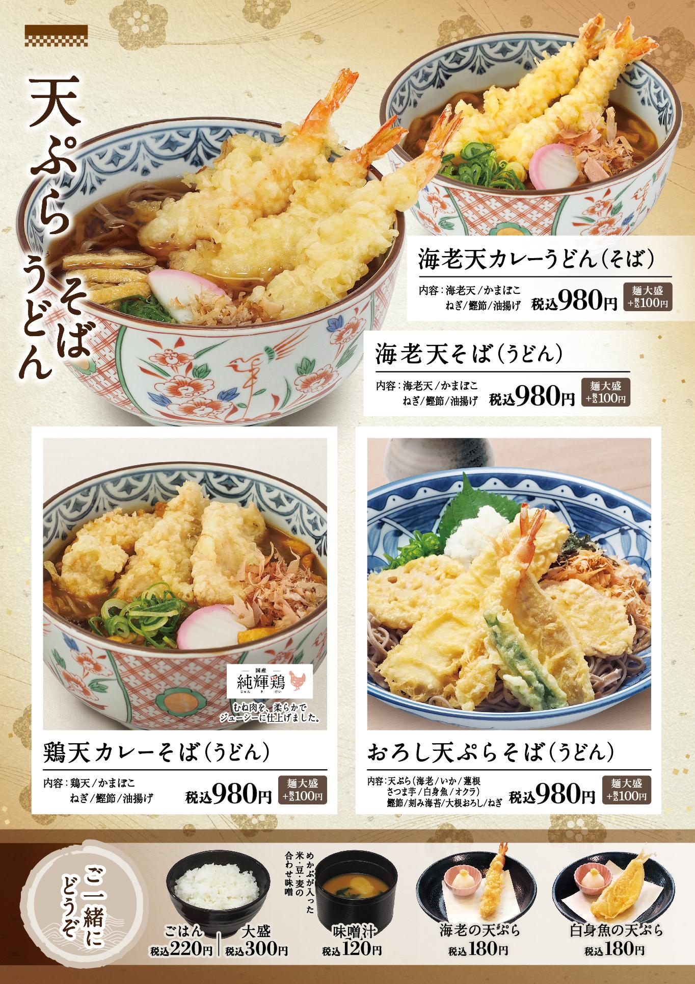 イオン新Bグランドメニュー「こだわりの和食を楽しめる」タイプ メニュー