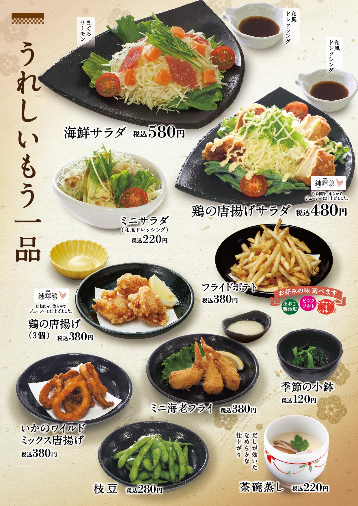 イオン新Bグランドメニュー「こだわりの和食を楽しめる」タイプ メニュー