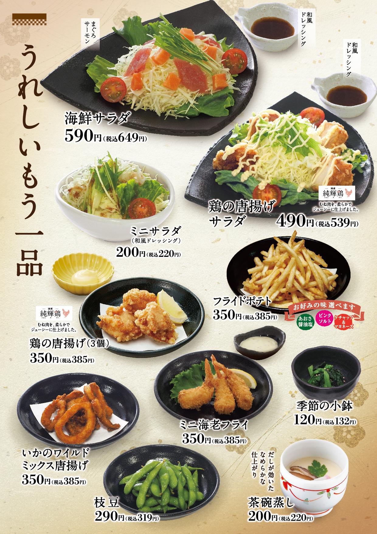 イオン新Bグランドメニュー「こだわりの和食を楽しめる」タイプ メニュー